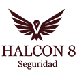Halcon 8 Seguridad